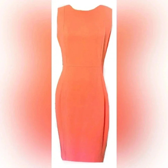 Calvin Klein Sheath Scuba Peach Dress Size 8 - Picture 3 of 9